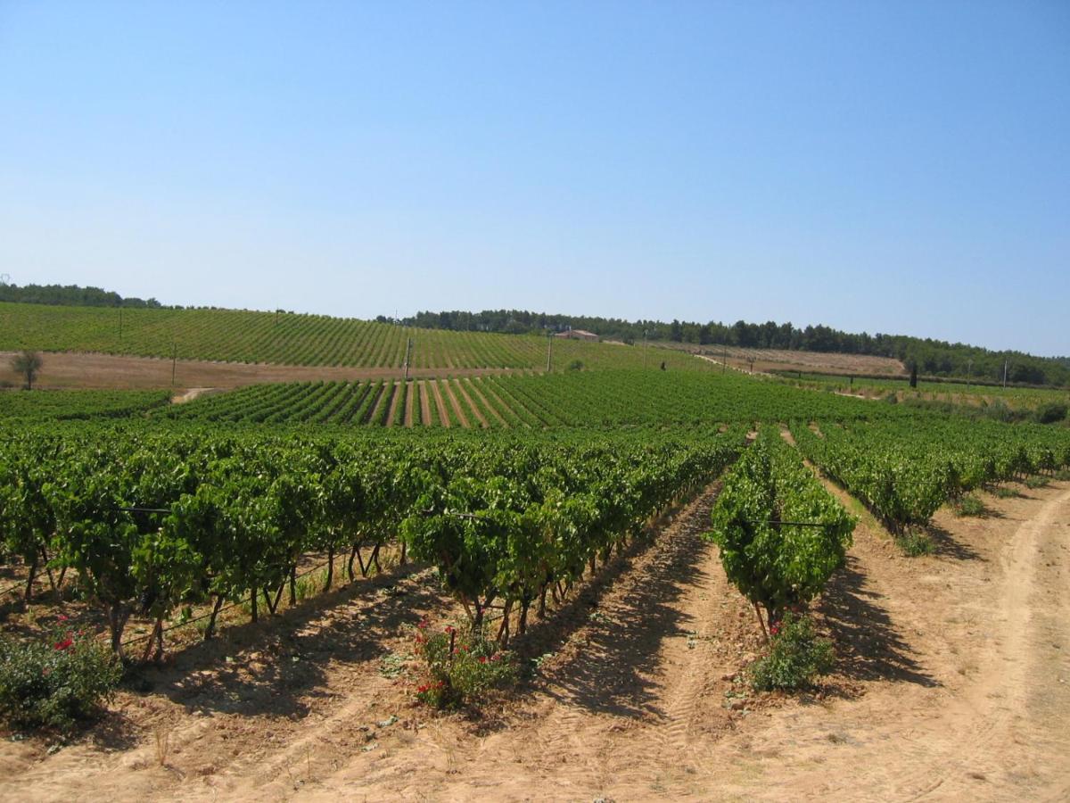 Domaine Du Coffre เปอร์ทุยส์ ภายนอก รูปภาพ